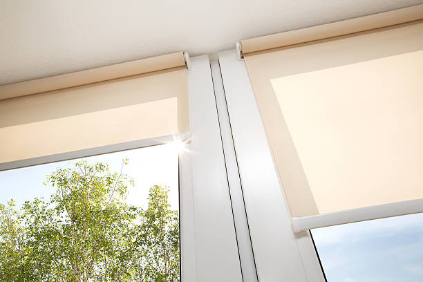 roller shades for windows near me in brooklyn ny